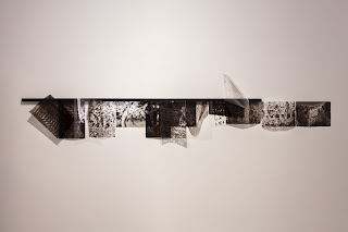 Jhouyu H, Patterns of Extinct Life I (52)